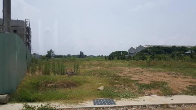 桃園觀音工業地-0